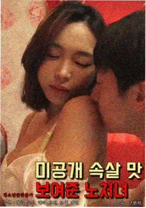 南来北往